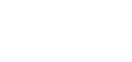 DIA Logo White